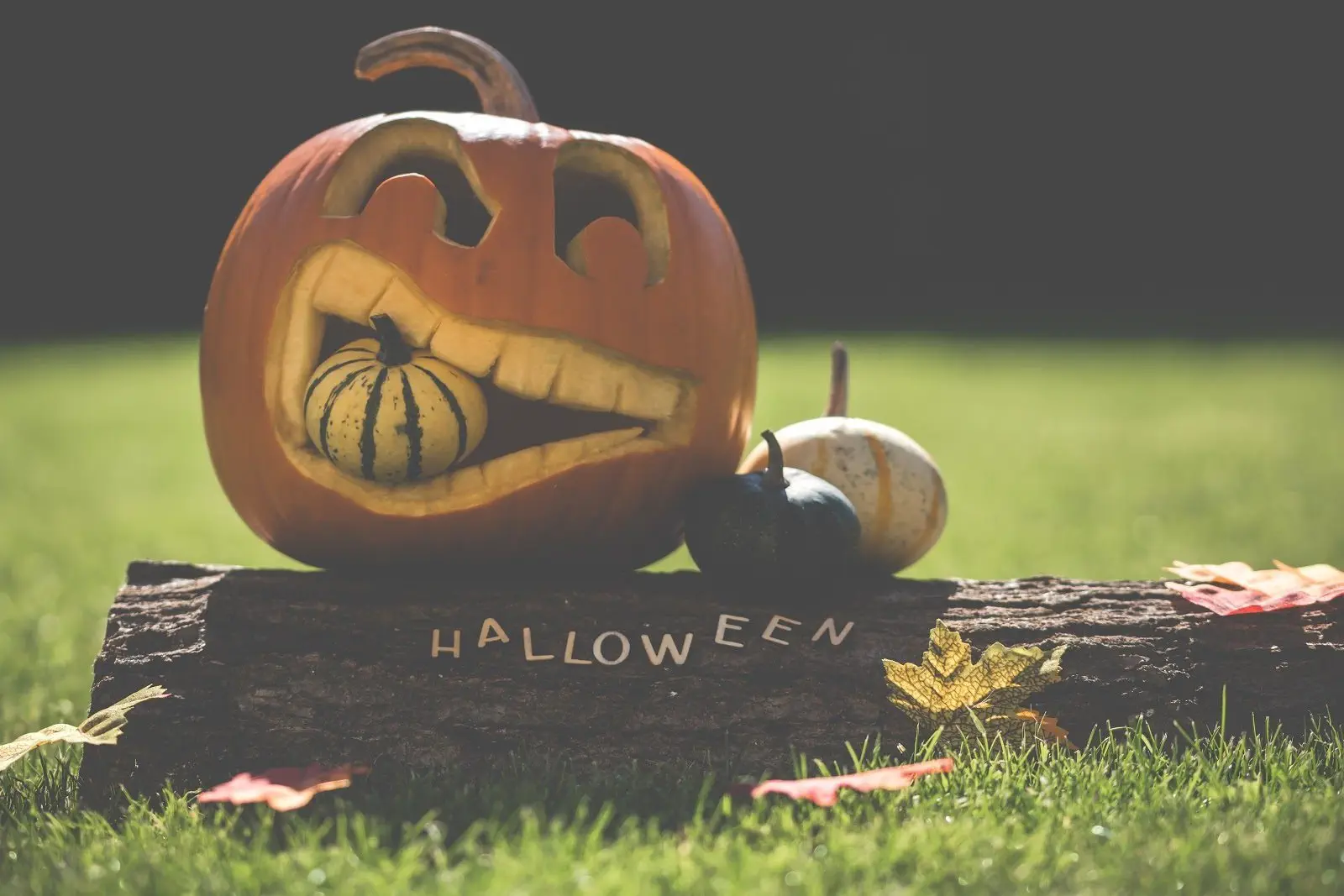 Pumpkin Carving for Halloween Movie Night